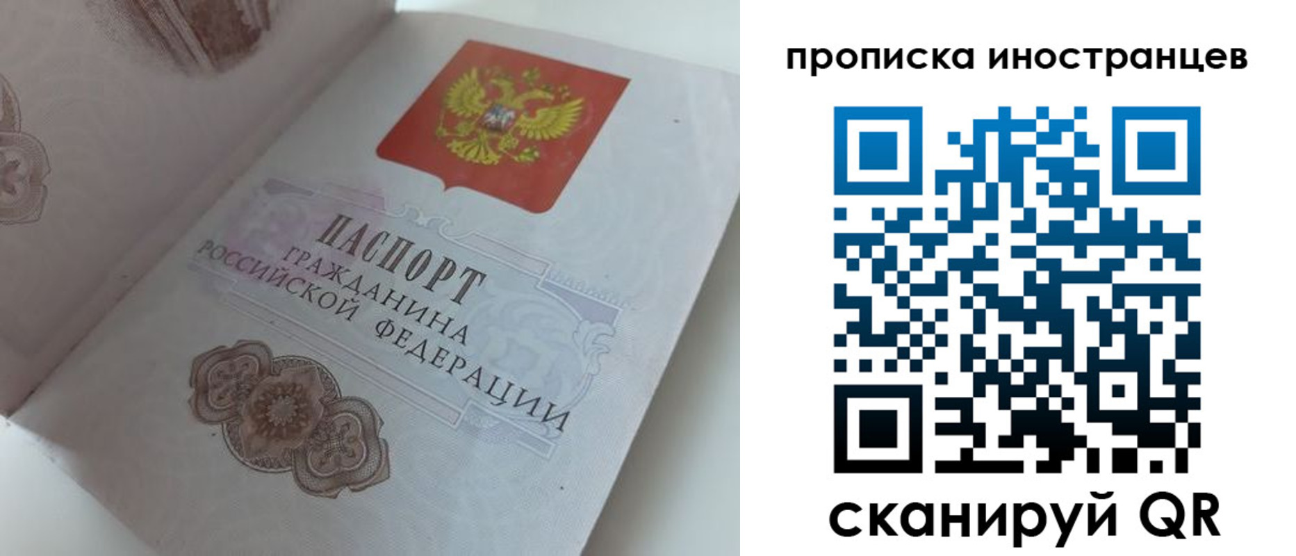 прописка регистрация в Алексеевке